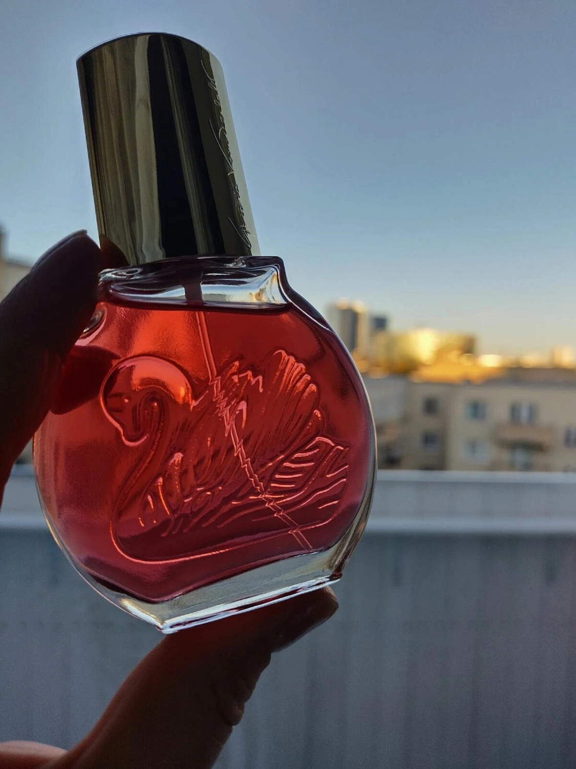 Gloria Vanderbilt Vanderbilt In Red