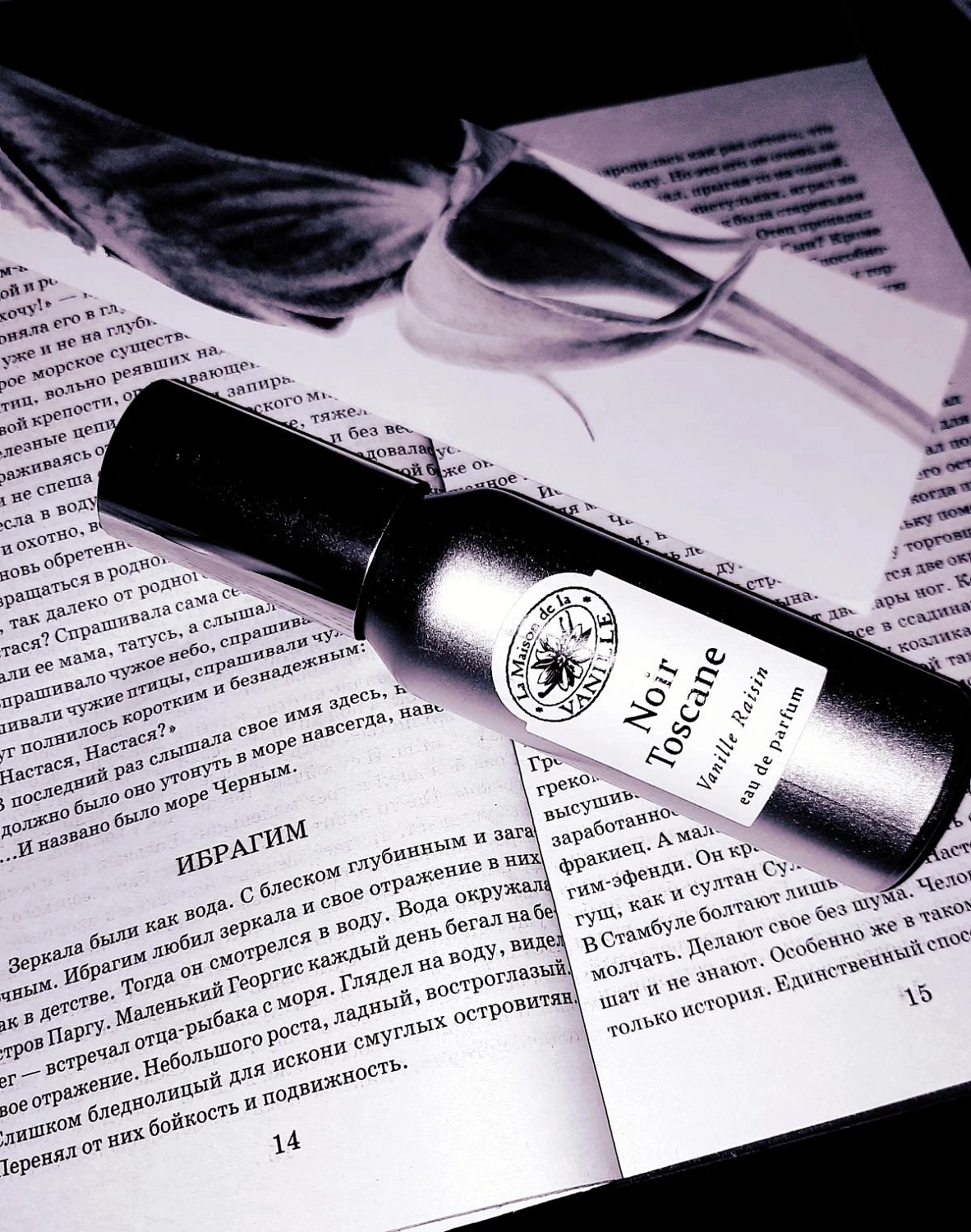 La Maison de la Vanille Noir Toscane Vanille Raisin