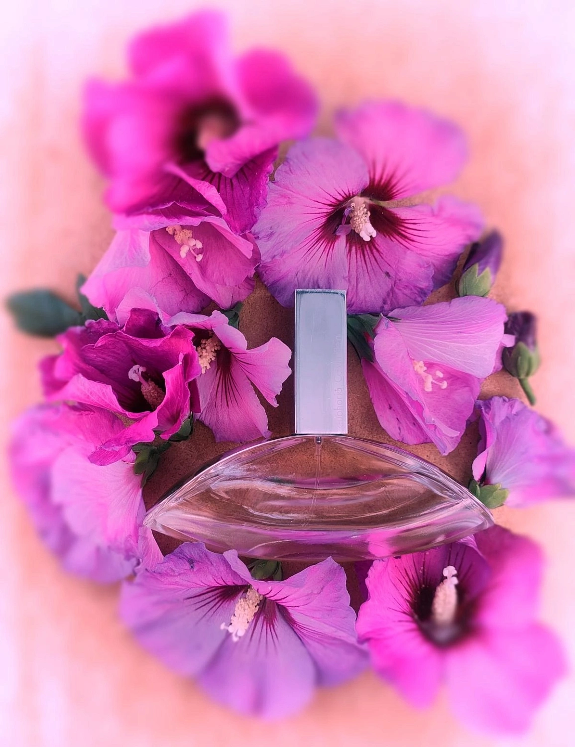 CALVIN KLEIN Euphoria Eau De Toilette CALVIN KLEIN Euphoria Eau De Toilette