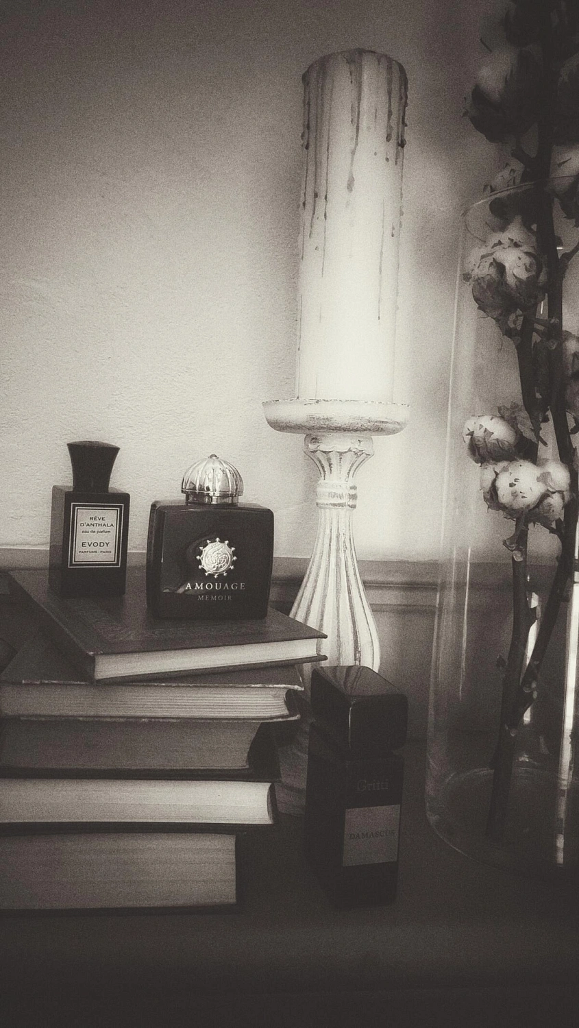 Evody Reve d’Anthala