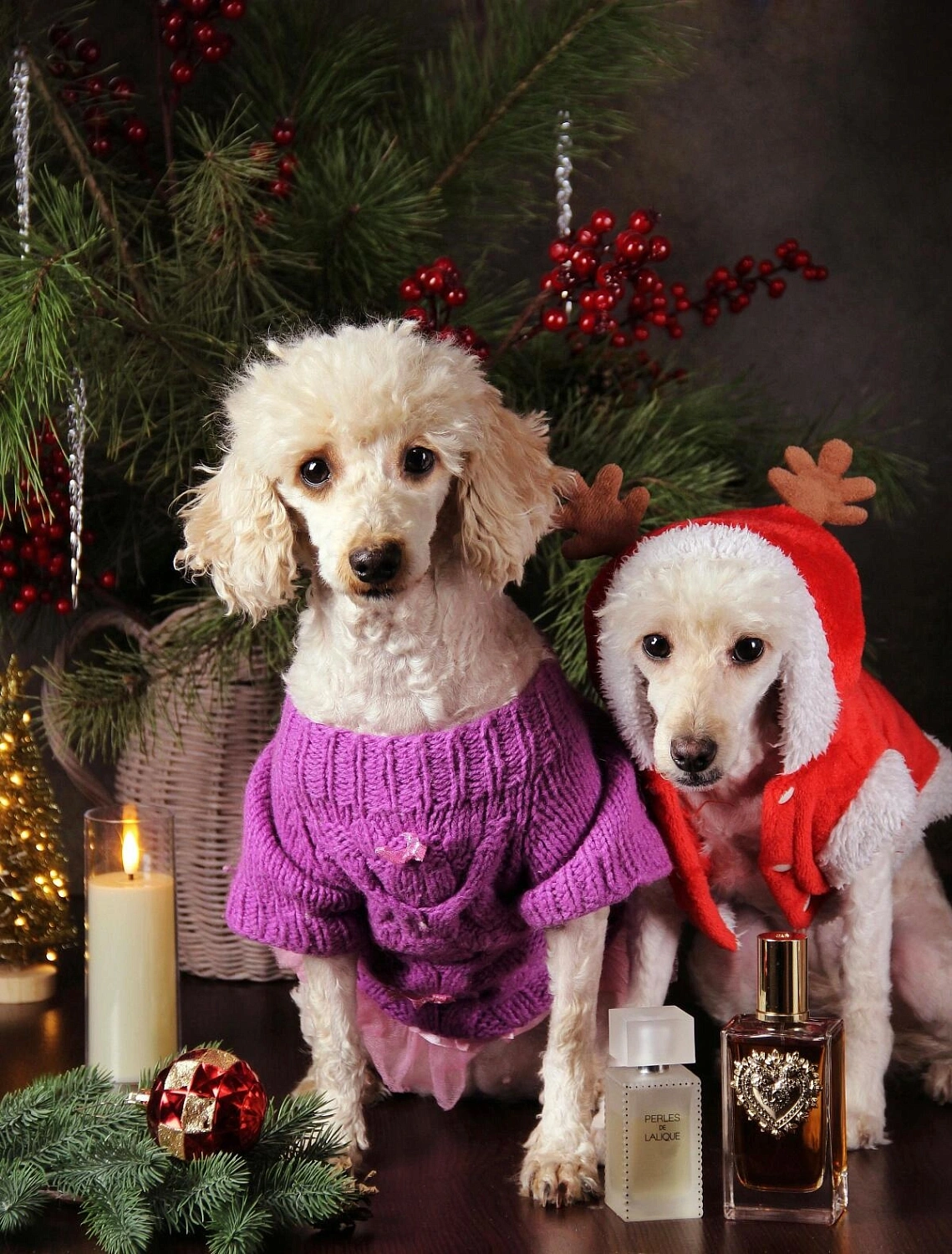 DOLCE & GABBANA Devotion