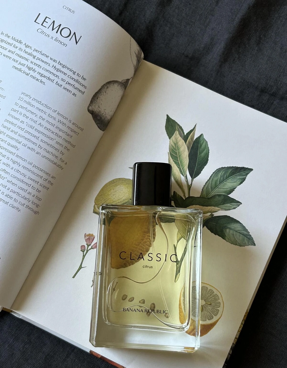 Banana Republic Classic Citrus