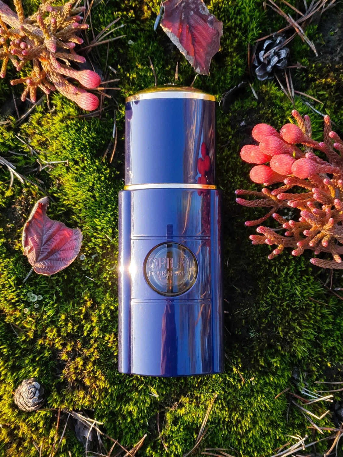 Yves Saint Laurent Parfum Pour Homme