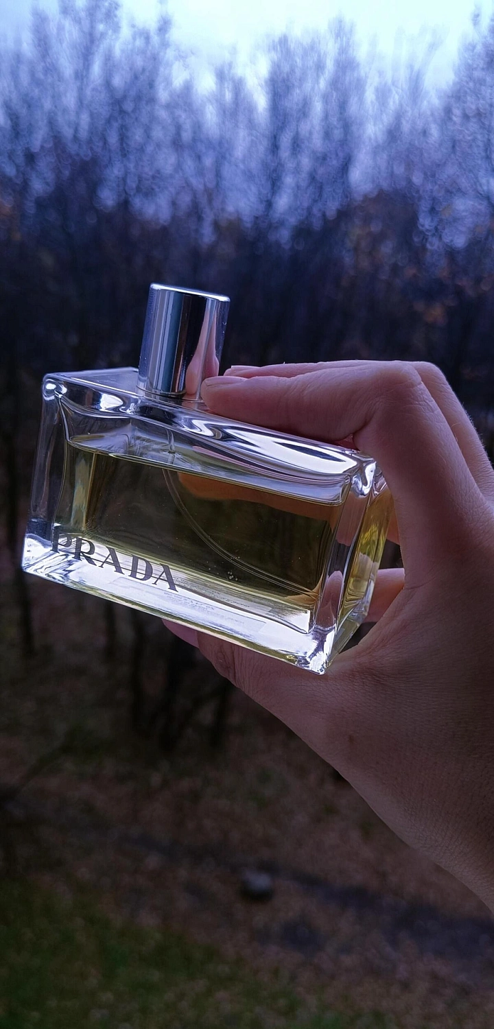 Prada Amber