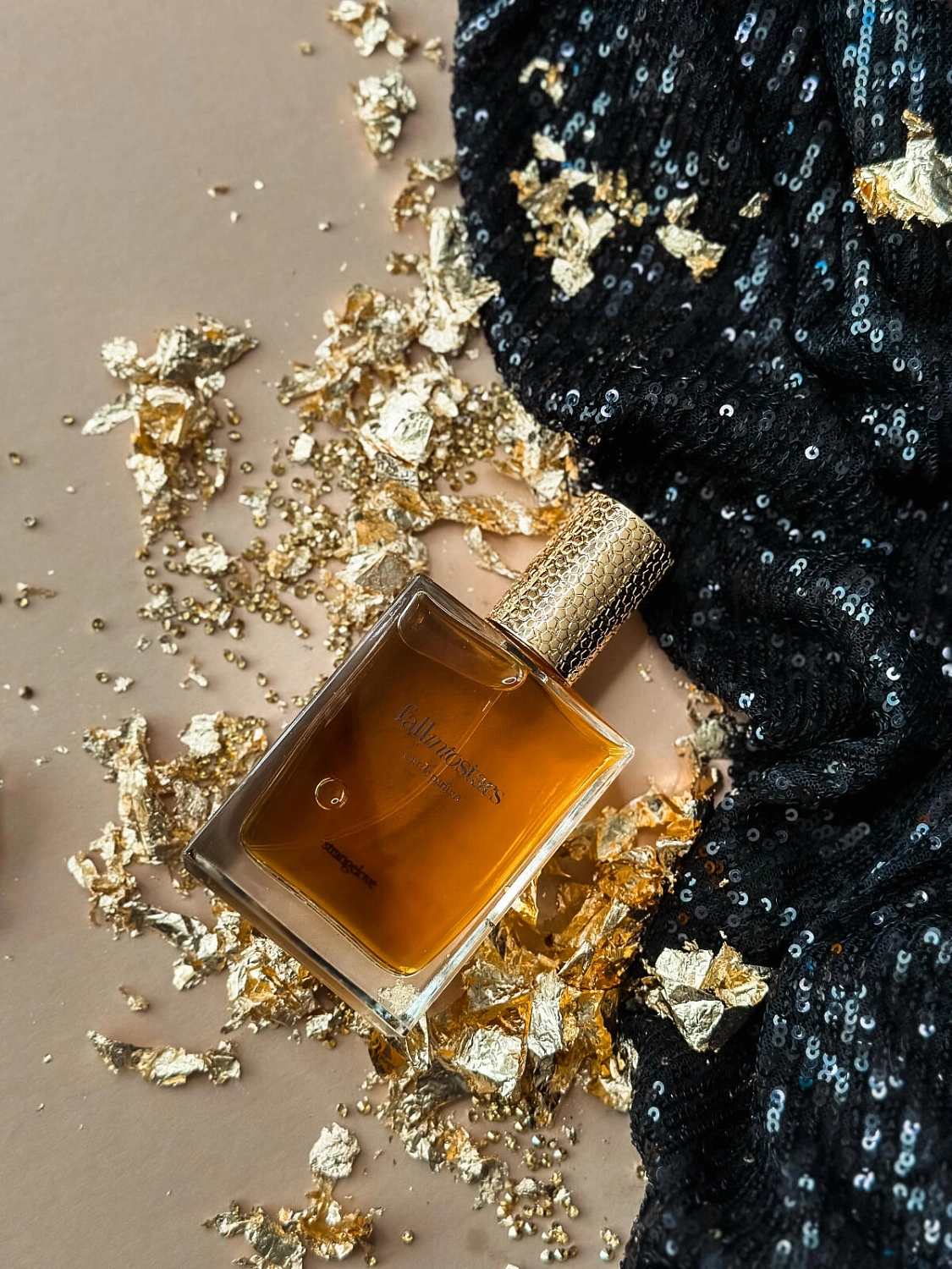 Strangelove NYC Fall Into Stars