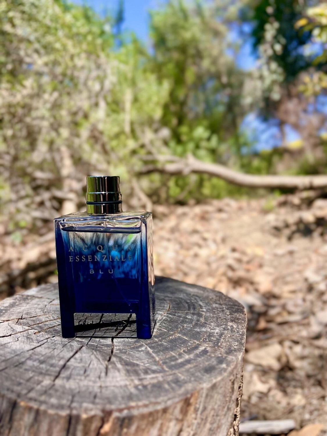 Salvatore Ferragamo Acqua Essenziale Blu