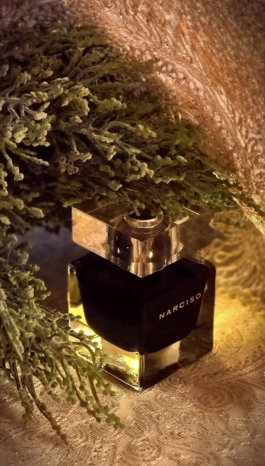 Narciso Rodriguez Narciso Eau de Toilette Narciso Rodriguez Narciso Eau de Toilette