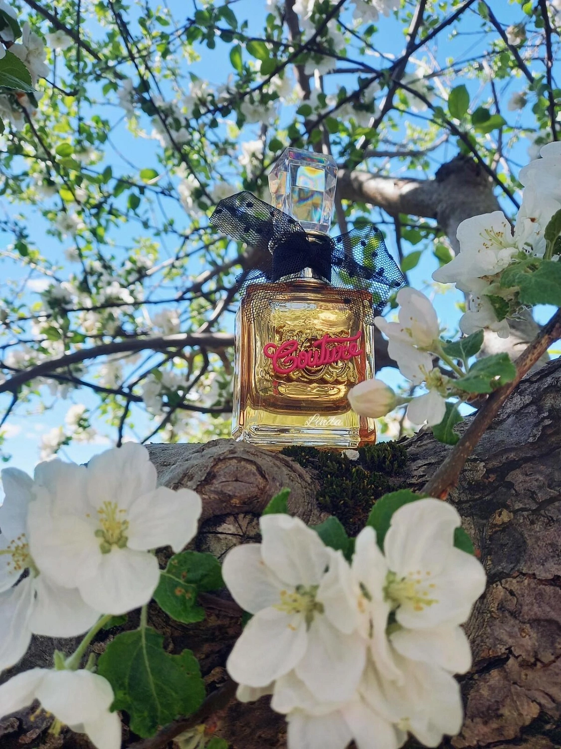 Juicy Couture Viva La Juicy Gold Couture