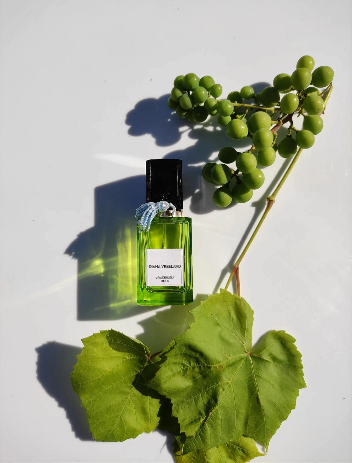 Diana Vreeland Vivaciously Bold