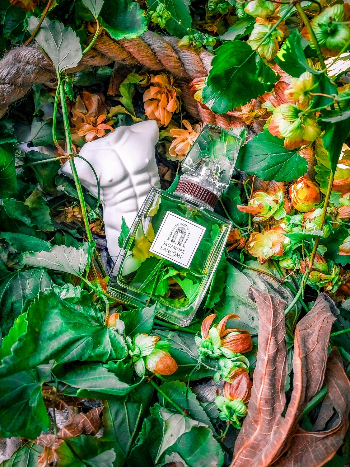 Lancôme Sagamore