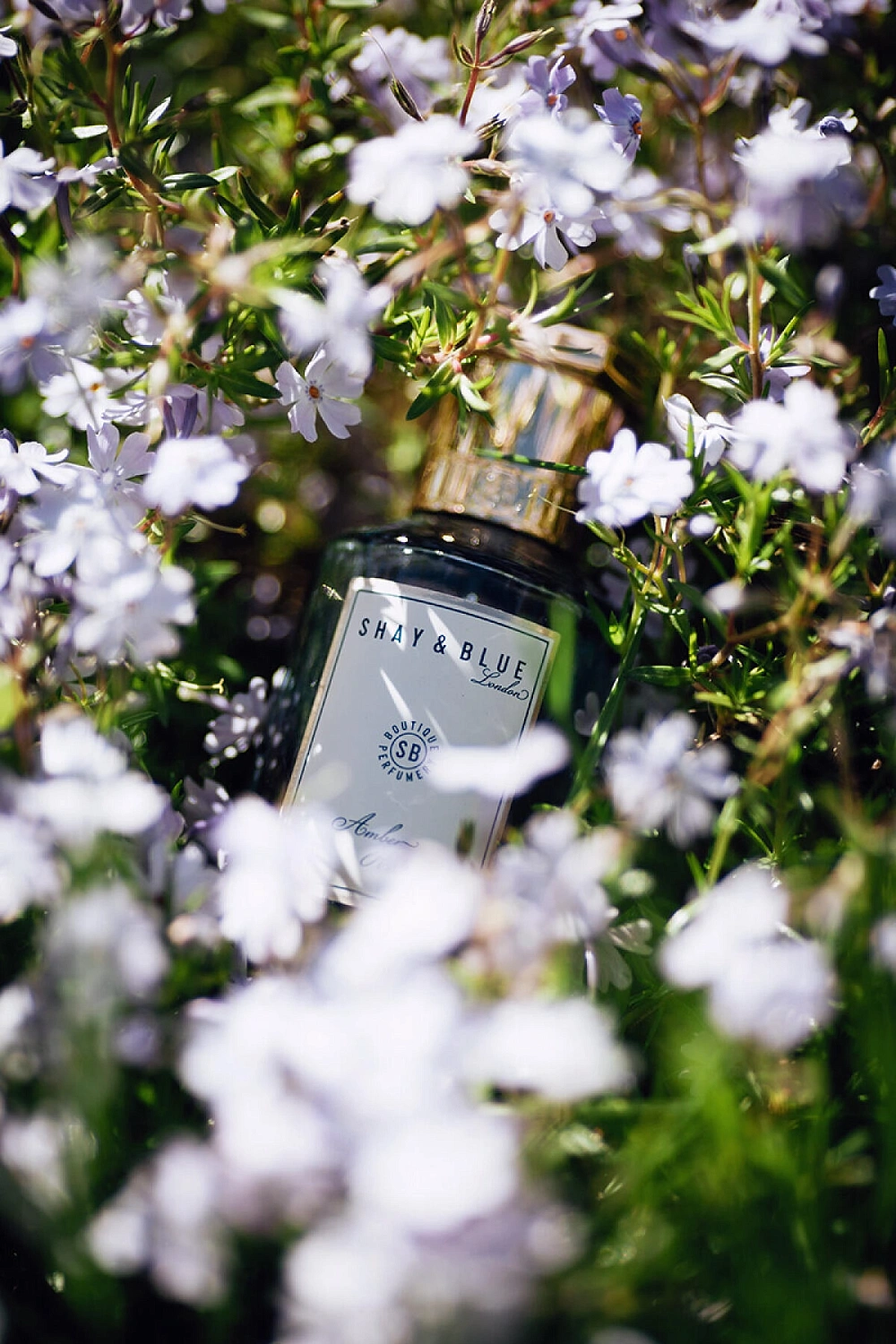 Shay & Blue London Amber Rose