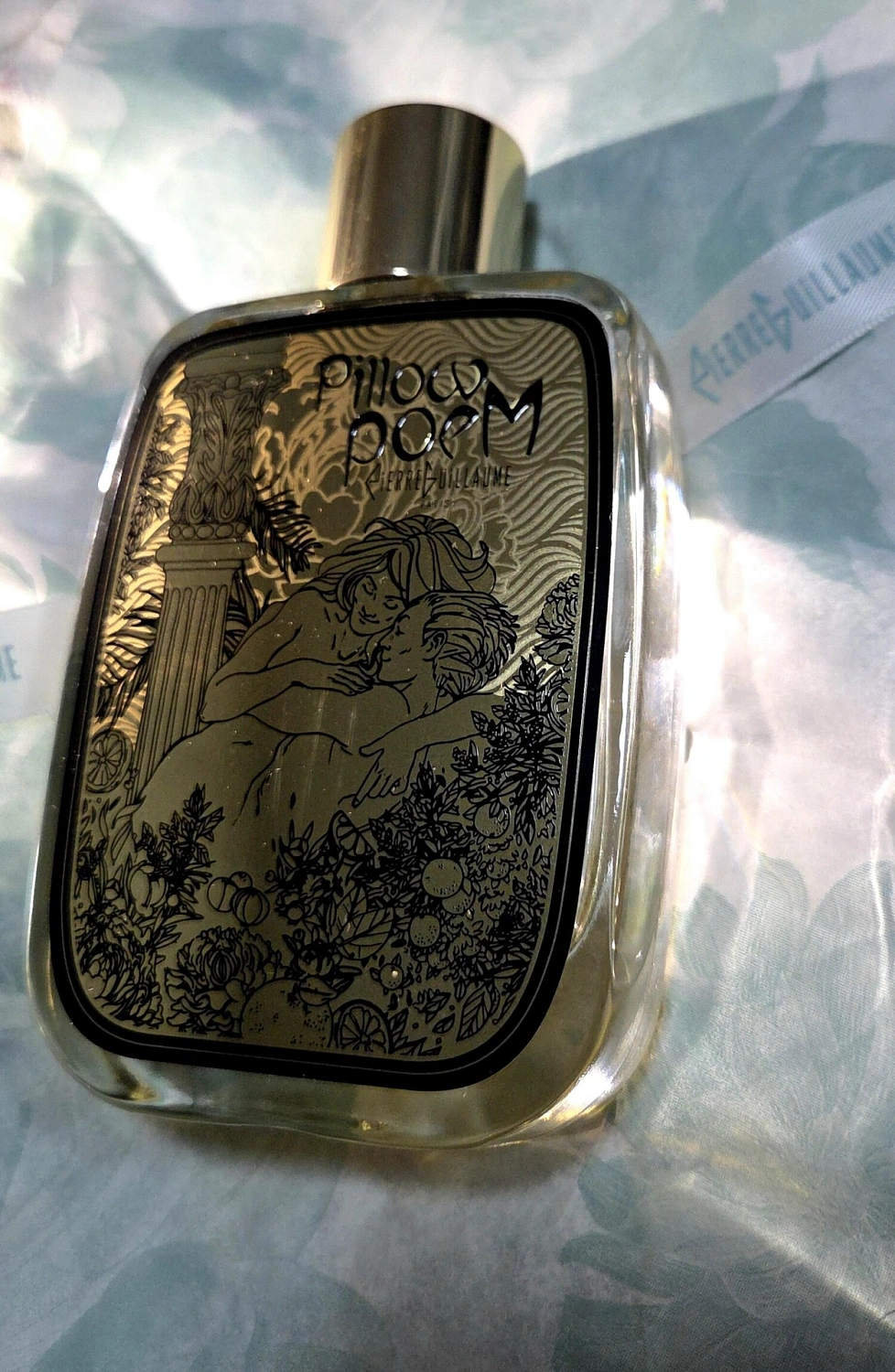 Pierre Guillaume Pillowpoem