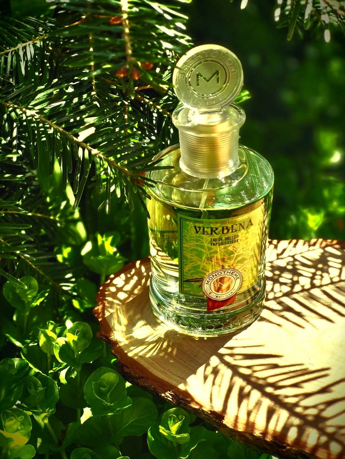 Monotheme Fine Fragrances Venezia Verbena Monotheme Fine Fragrances Venezia Verbena