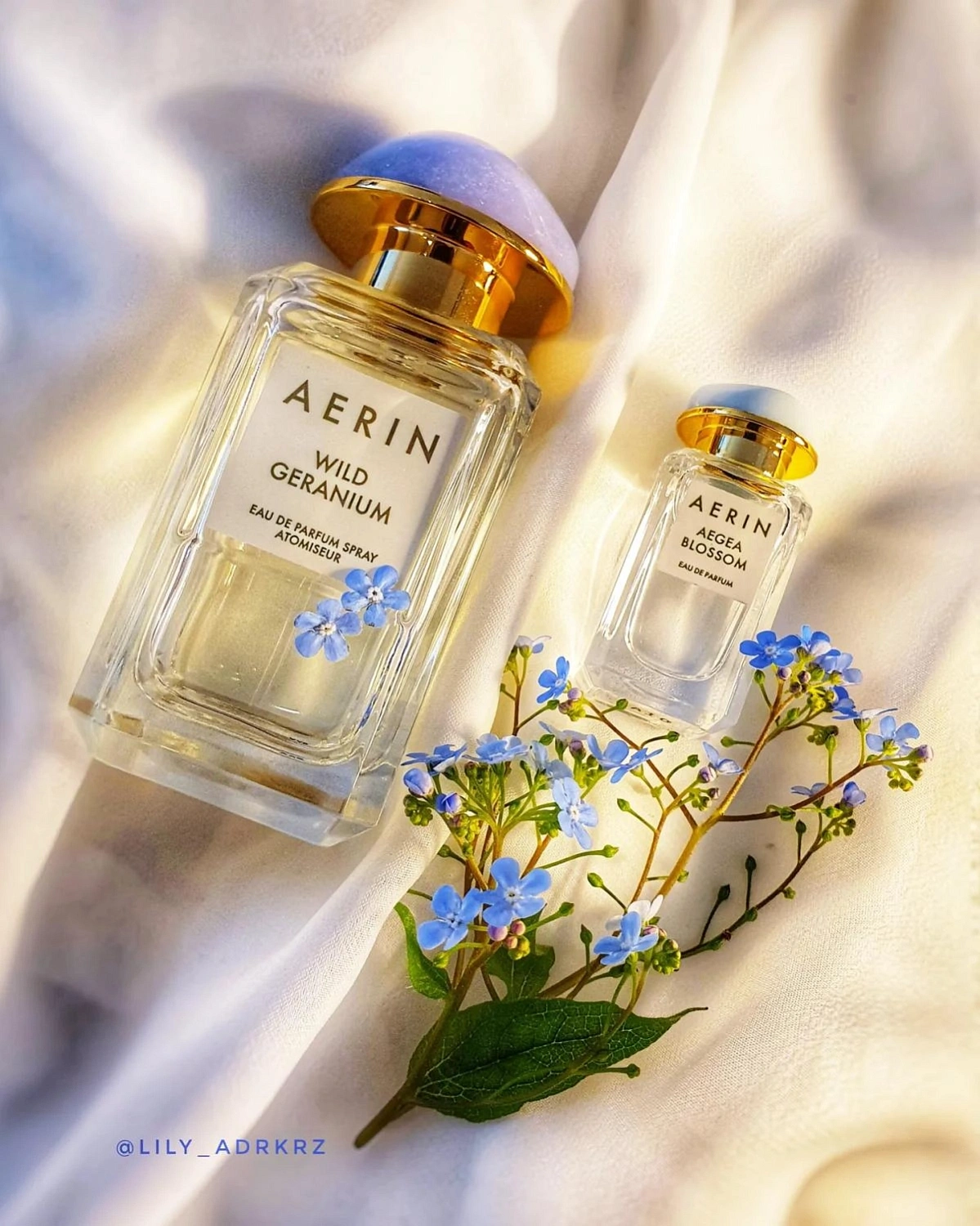 AERIN Aegea Blossom AERIN Aegea Blossom