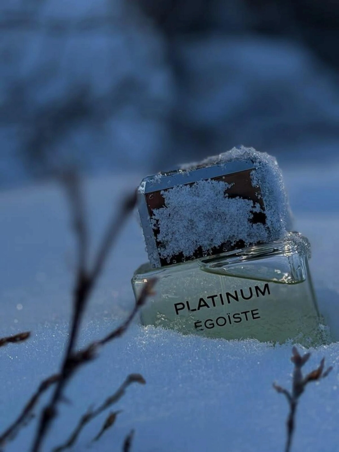 Chanel Egoiste Platinum