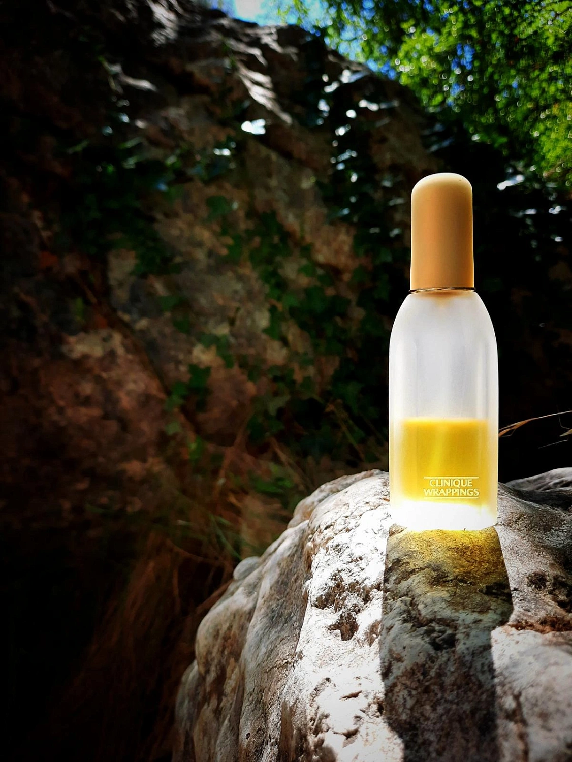 Clinique Wrappings