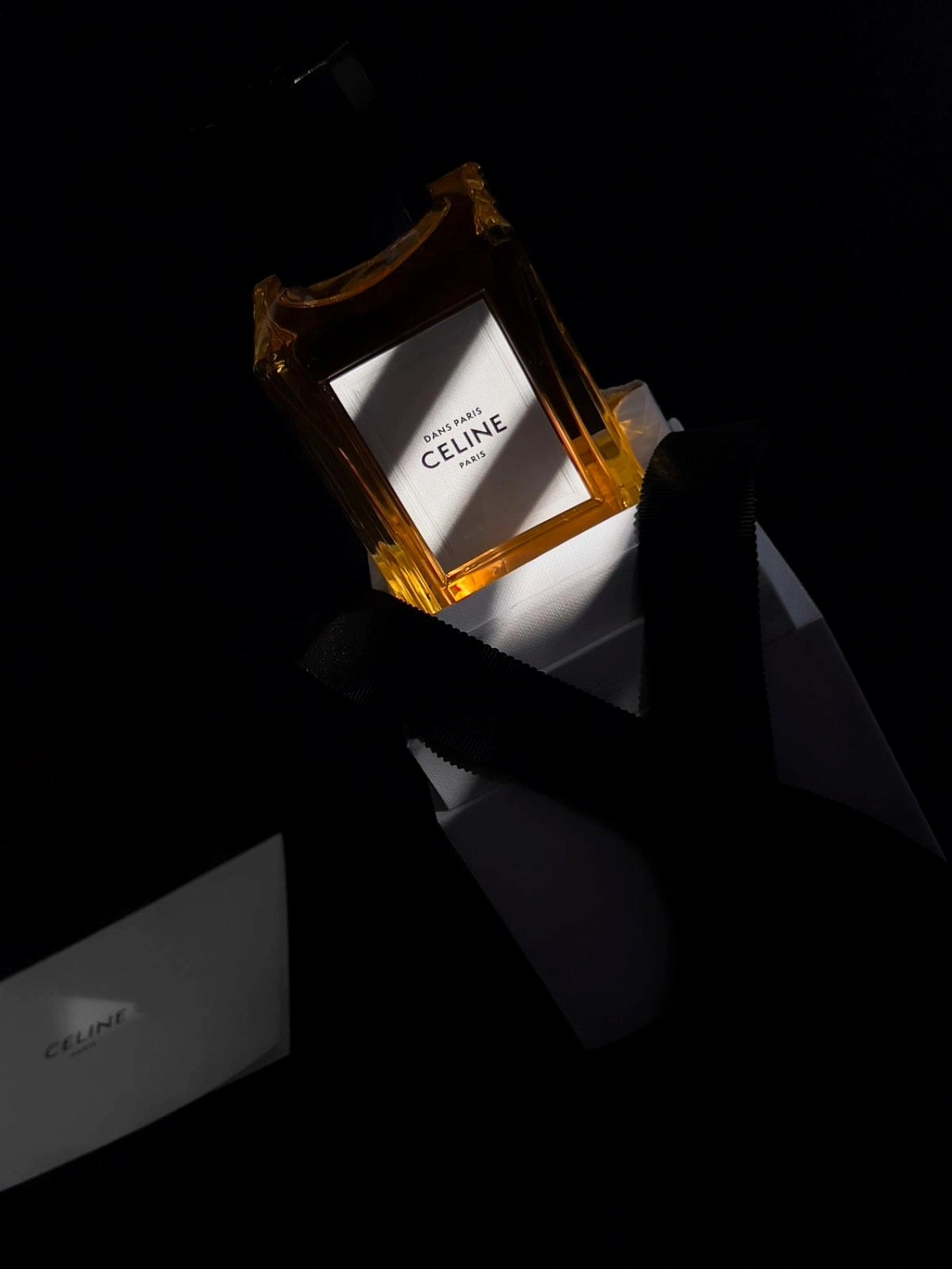 CELINE Dans Paris