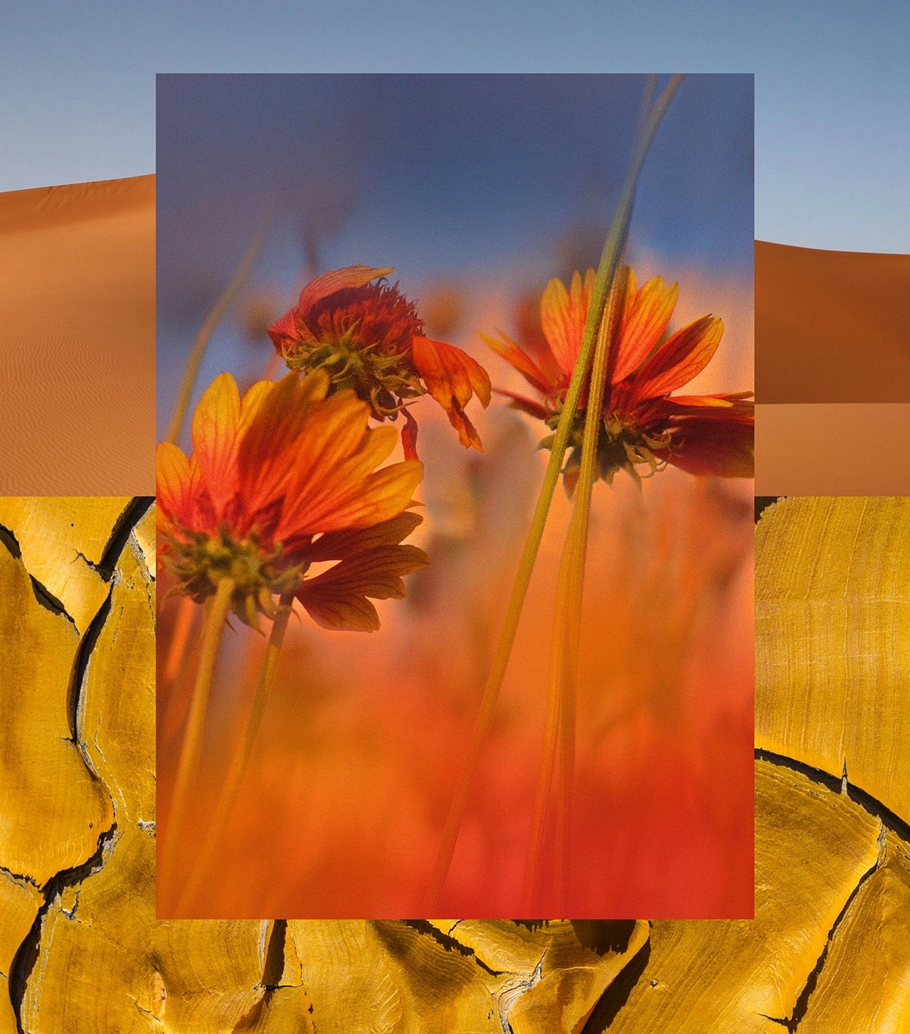 Aqualis Namaqualand Aqualis Namaqualand