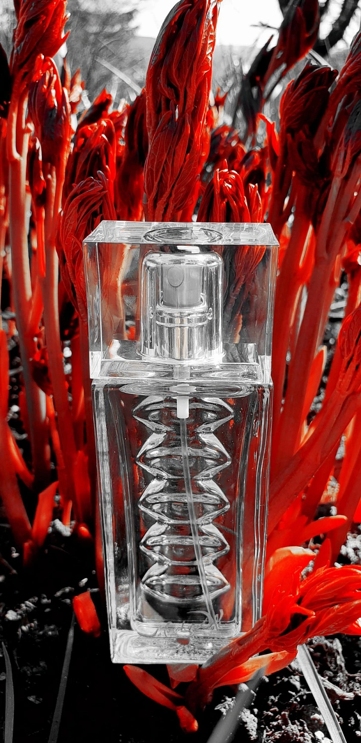 Salvador Dali Eau de Rubylips