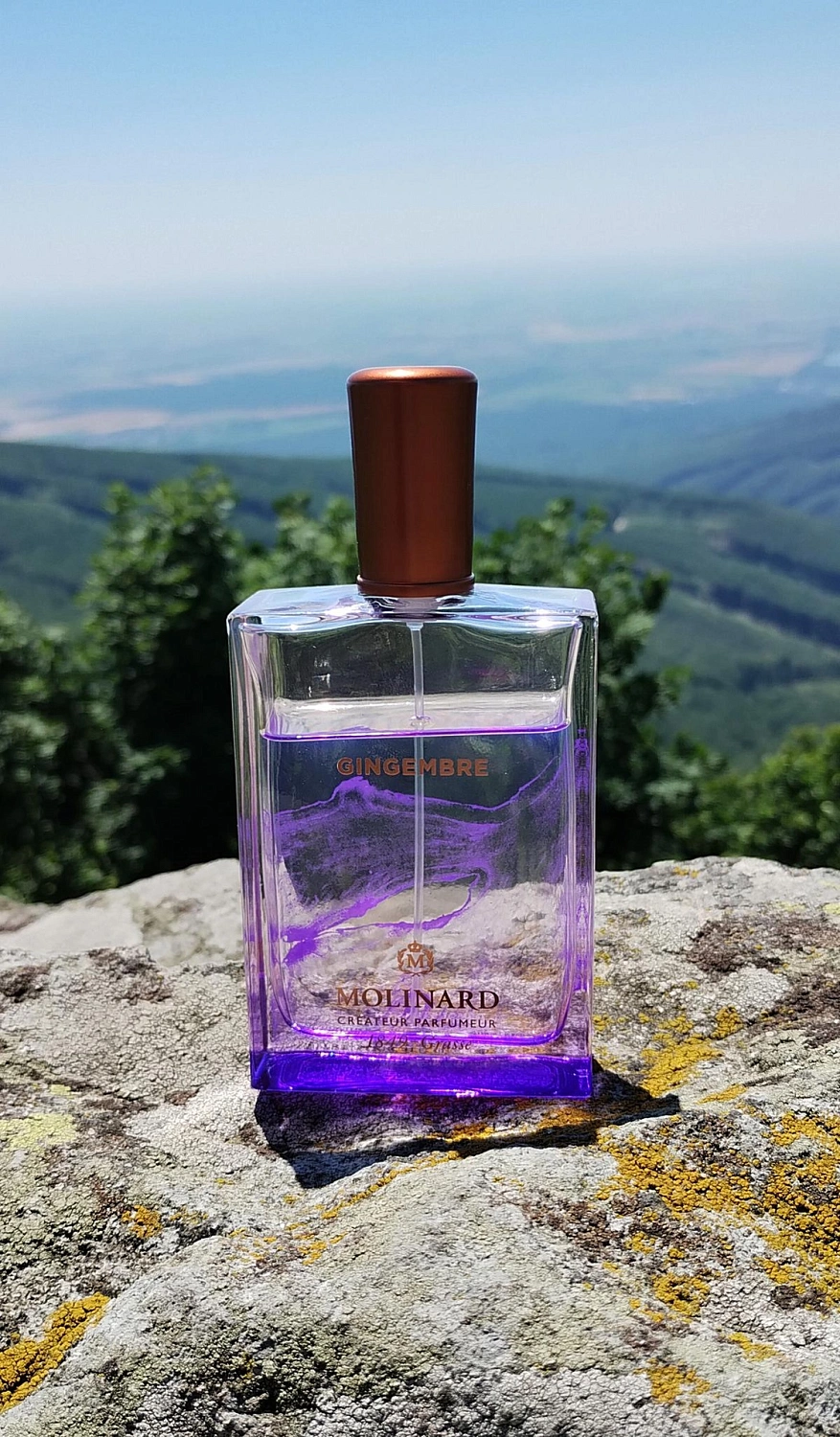 Molinard Gingembre
