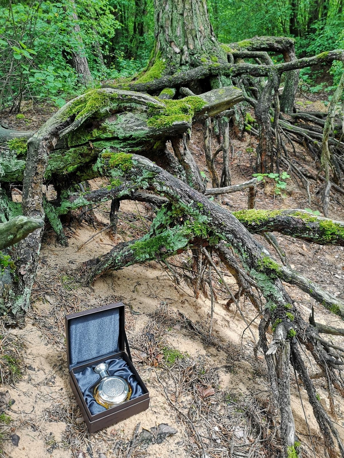 Boadicea the Victorious Passionate Boadicea the Victorious Passionate