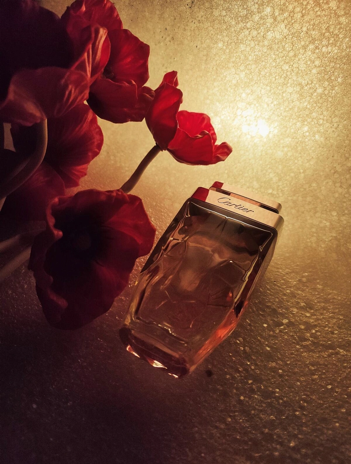 Cartier La Panthere Legere Cartier La Panthere Legere