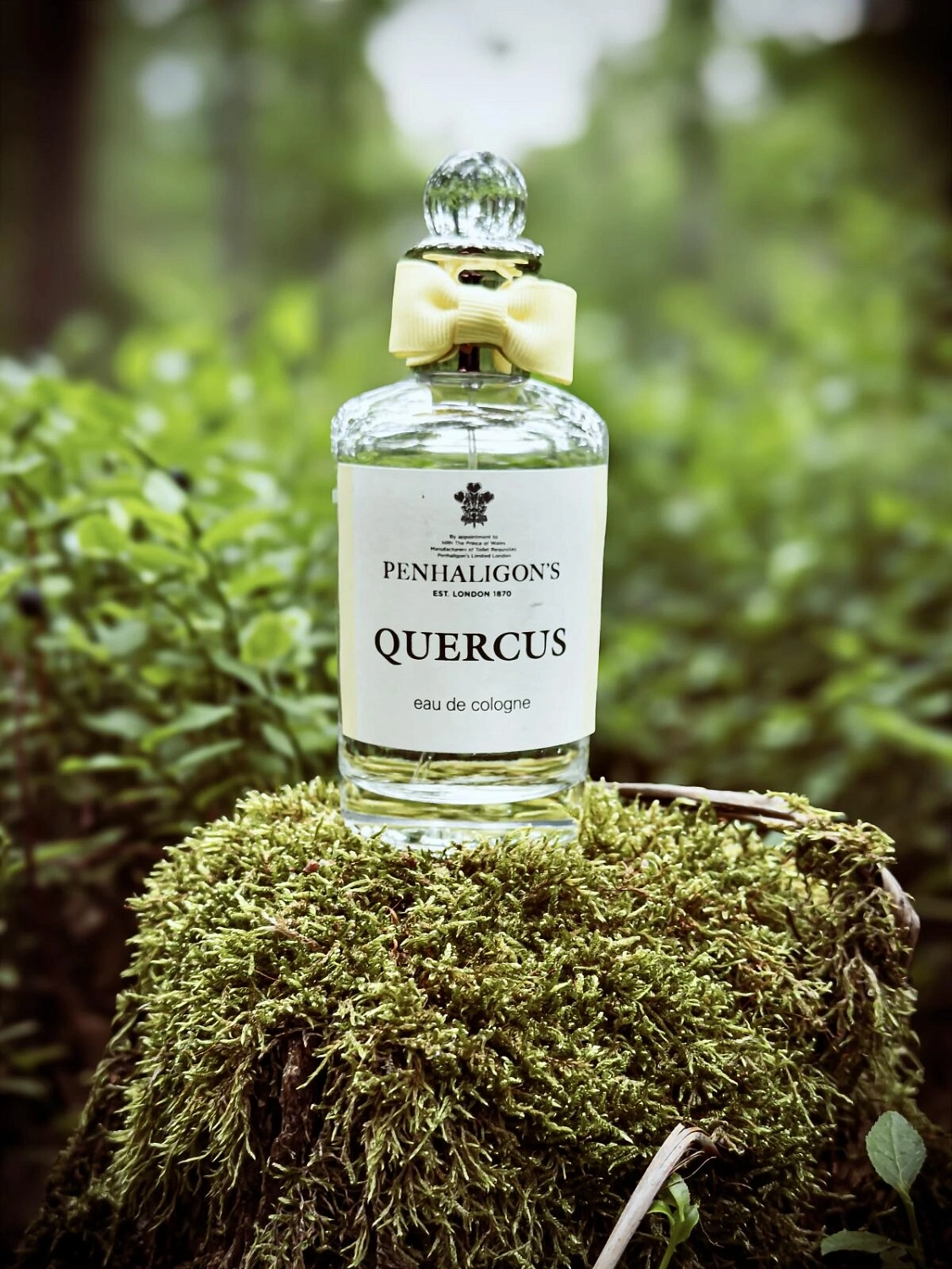 Penhaligon`s Quercus