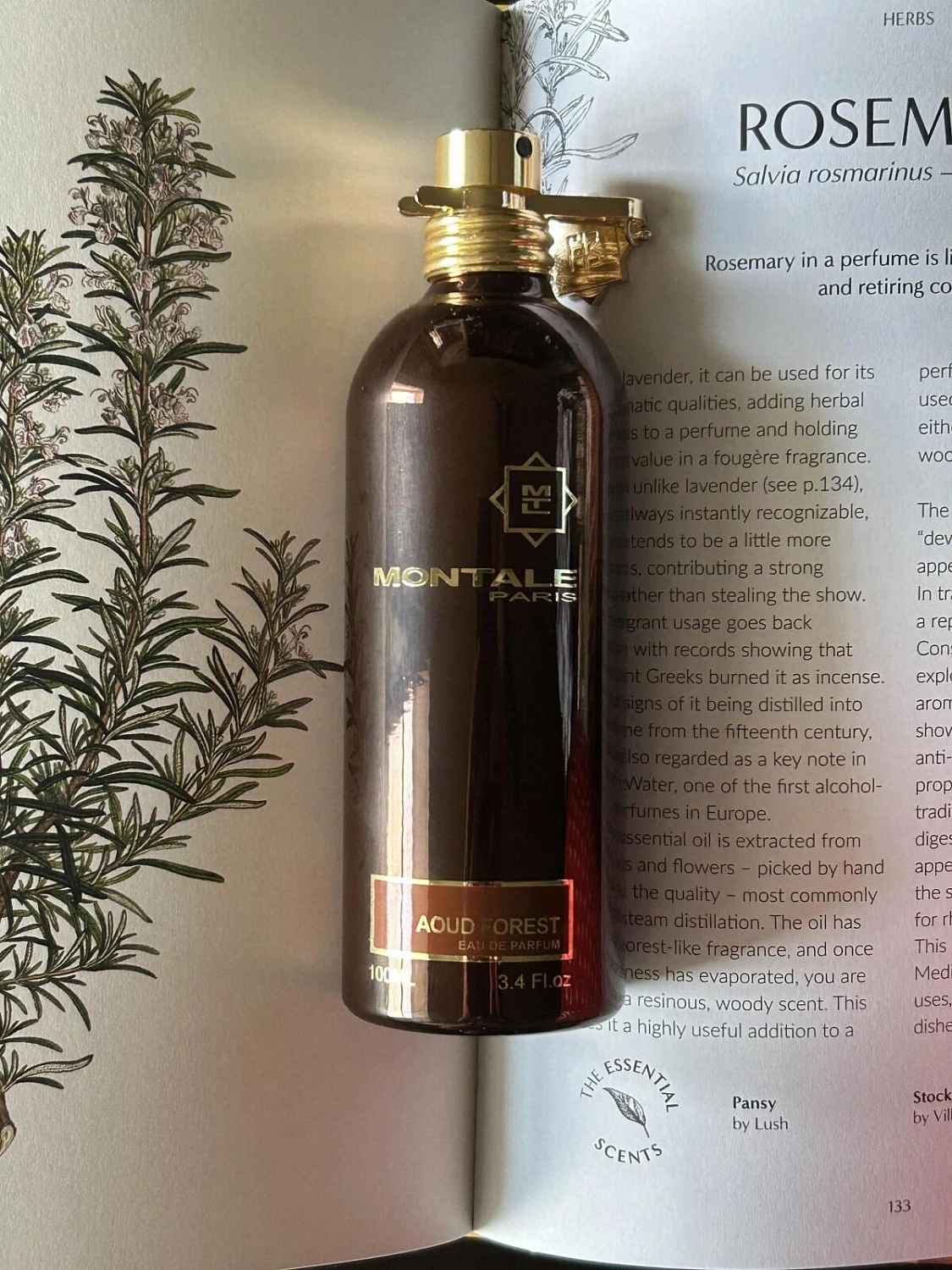 MONTALE Aoud Forest
