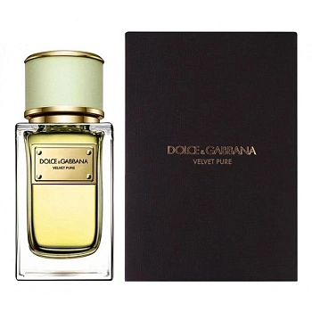 Фото DOLCE & GABBANA Velvet Pure