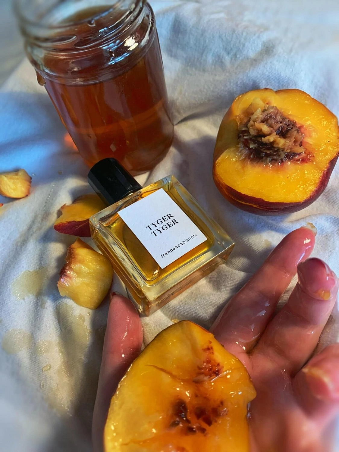 Francesca Bianchi Tyger Tyger