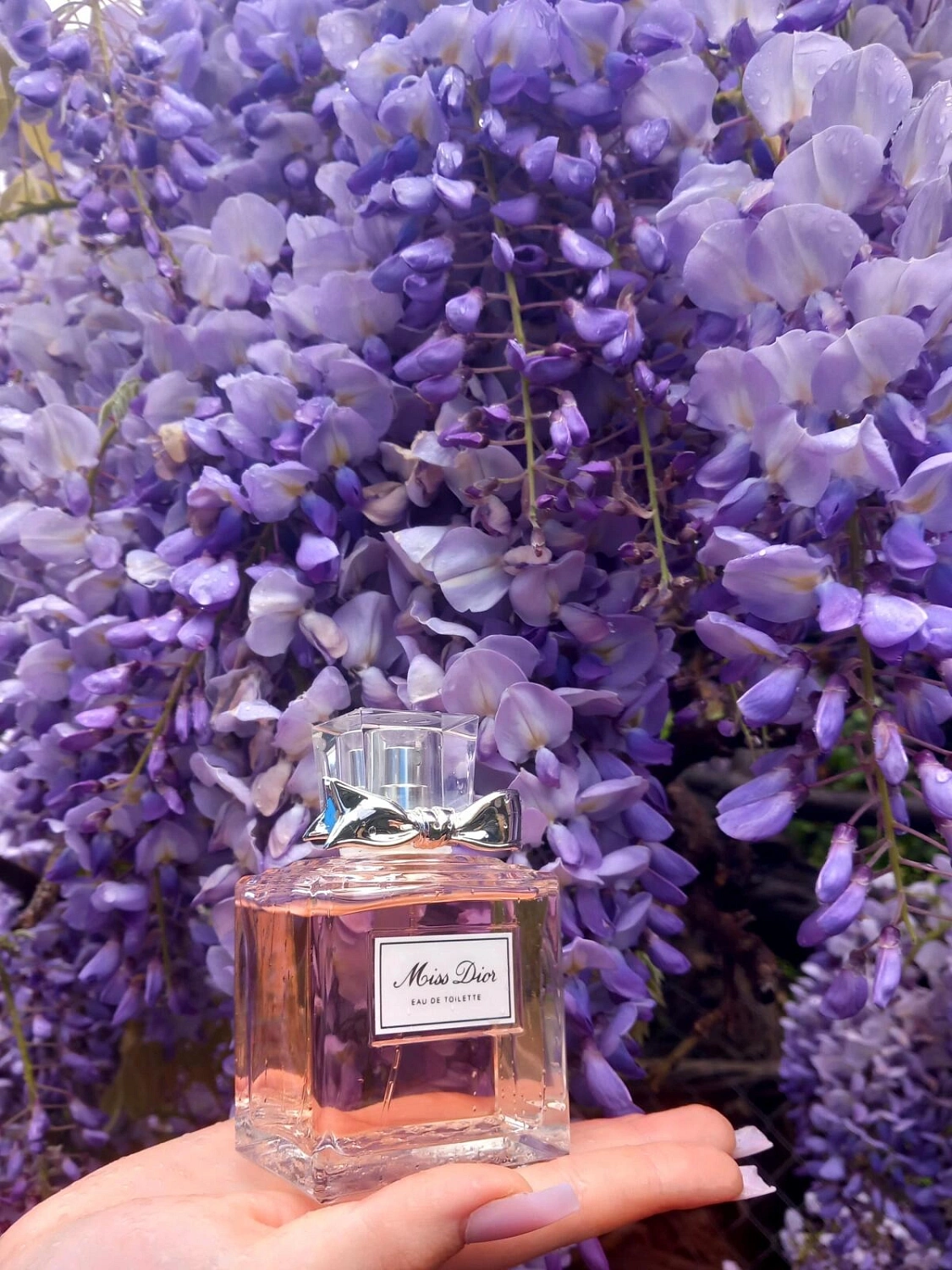 Christian Dior Miss Dior Eau de Toilette 2019 Christian Dior Miss Dior Eau de Toilette 2019