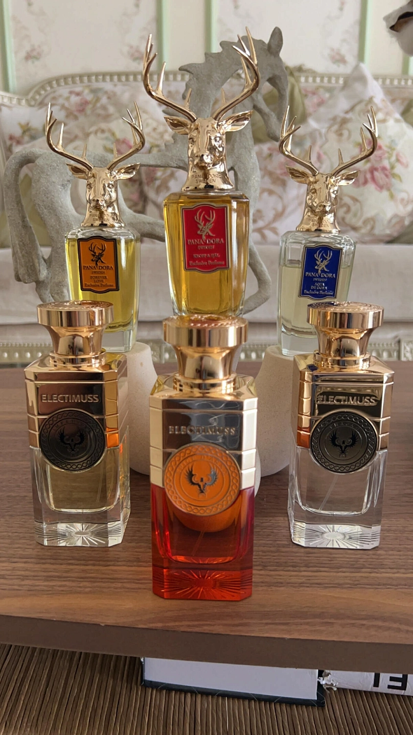 Electimuss Spice D'Arno