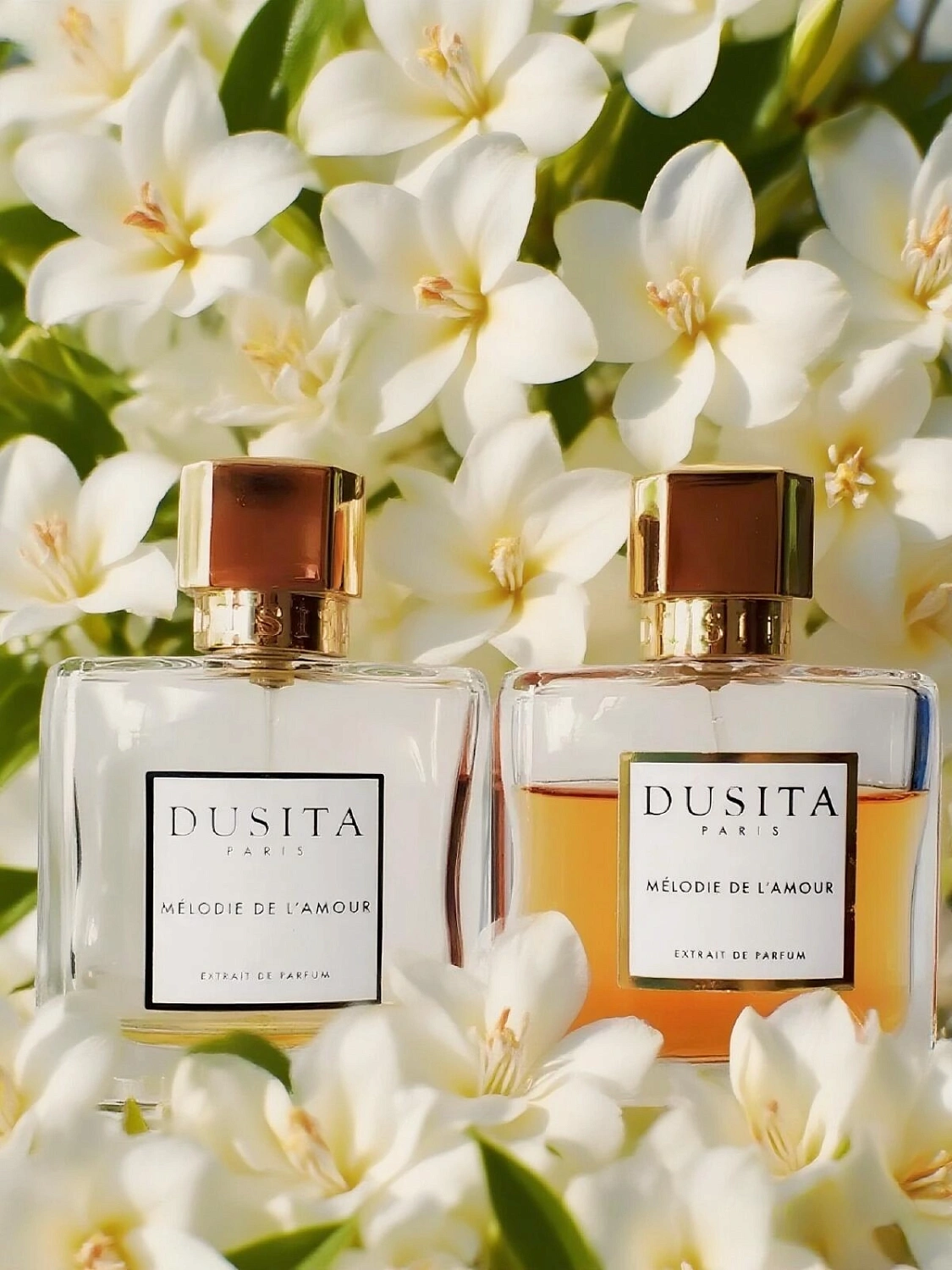 Dusita Melodie de L'Amour