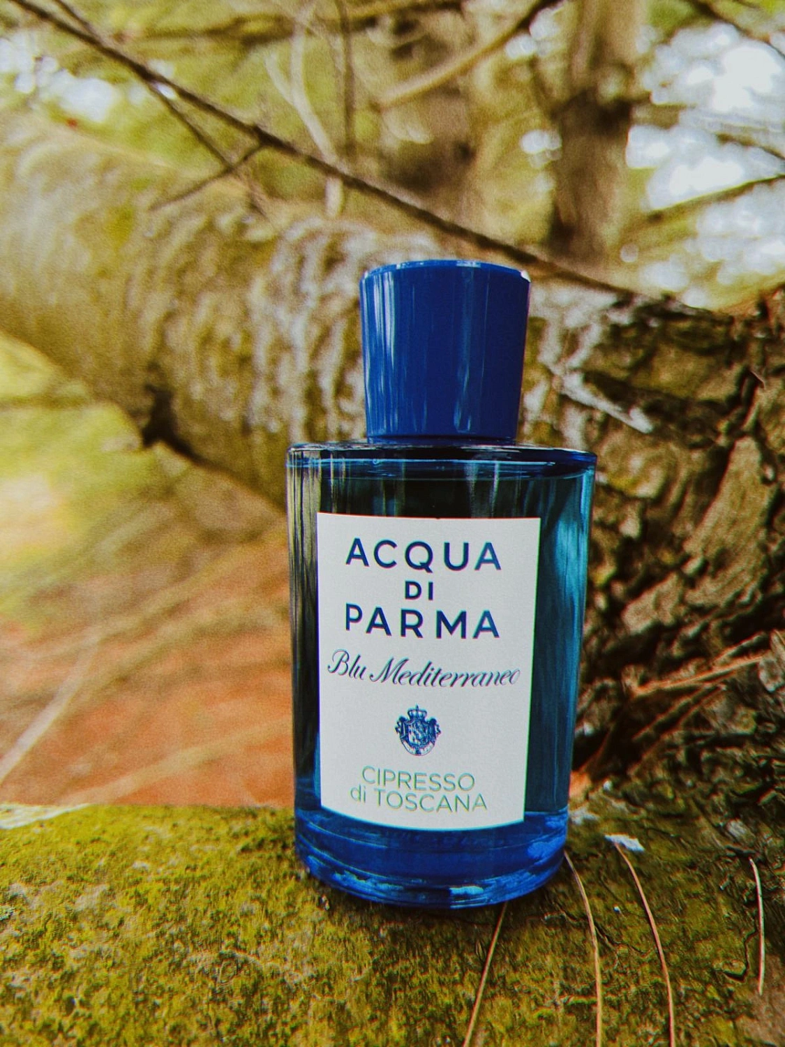Acqua di Parma Cipresso di Toscana