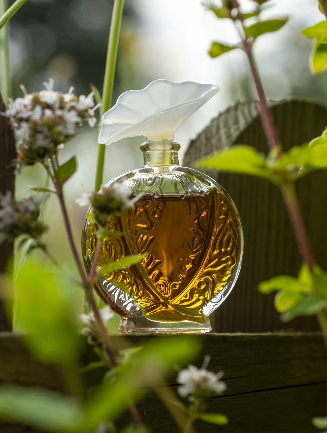 Aubusson Histoire D'Amour