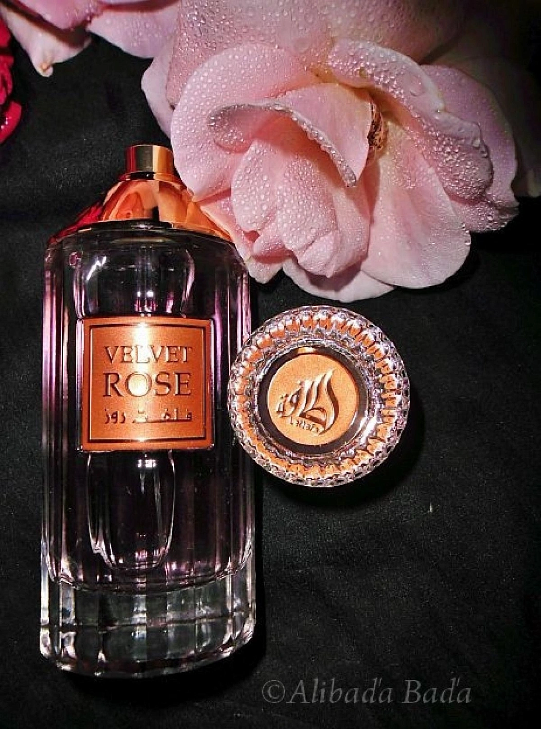 Lattafa Velvet Rose Lattafa Velvet Rose