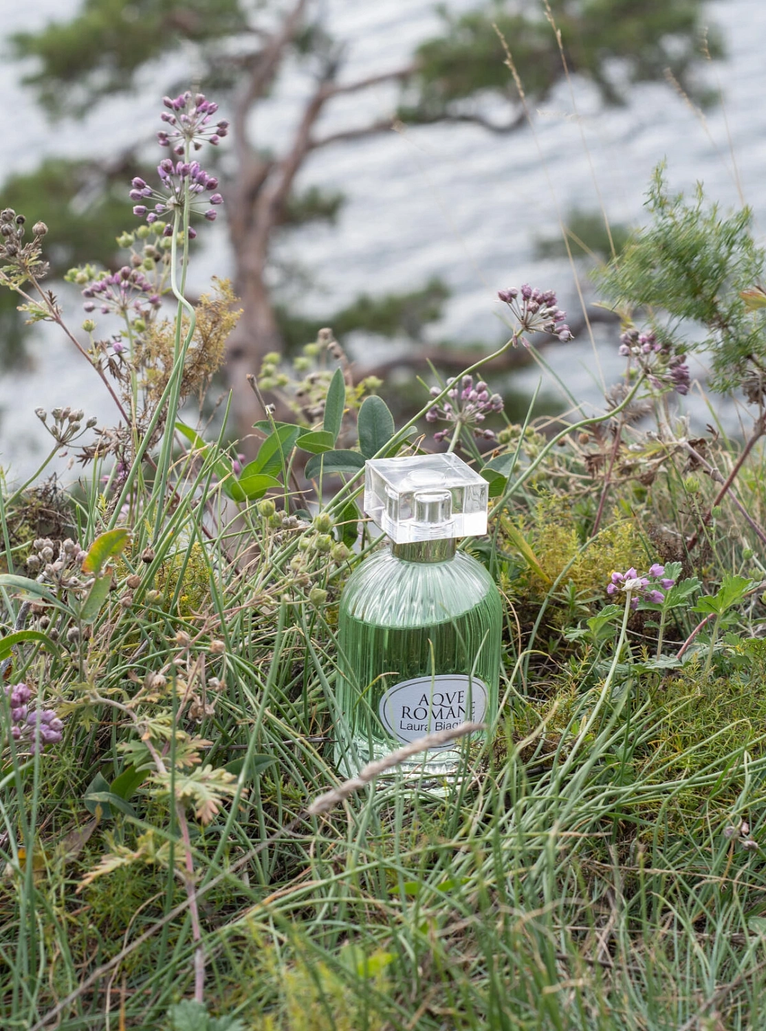 Laura Biagiotti Divinum Ficus