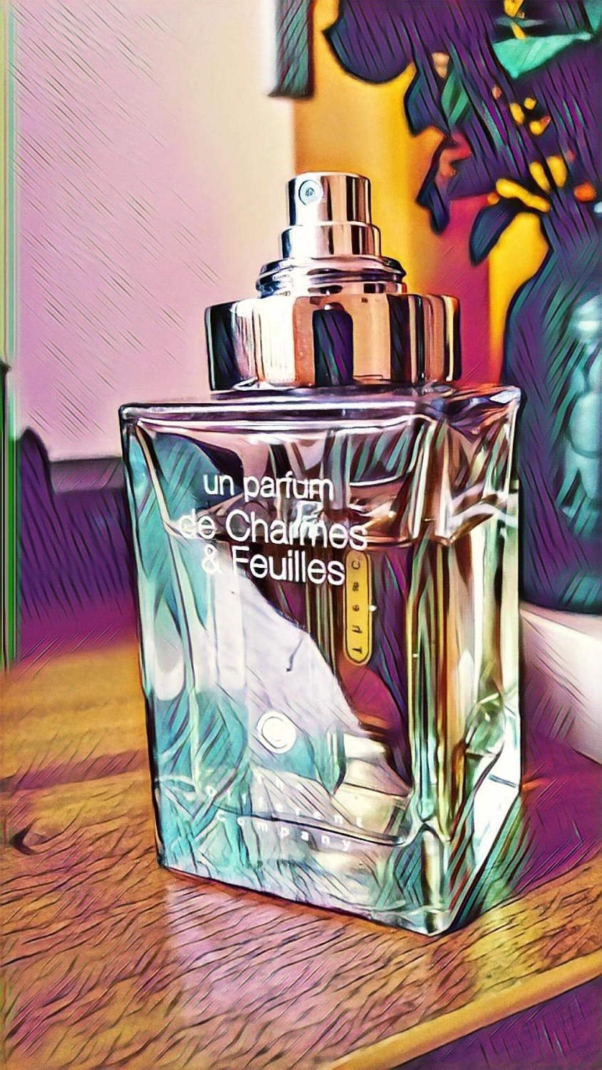 The Different Company Charmes & Feuilles