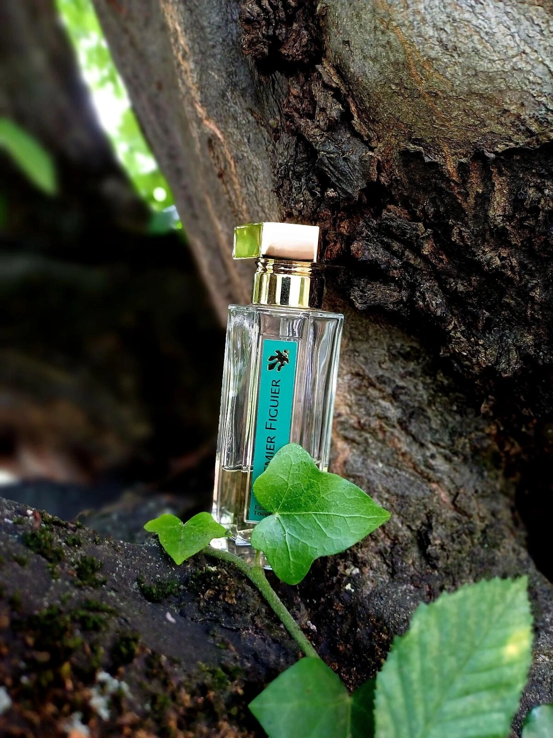 L`Artisan Parfumeur Premier Figuier