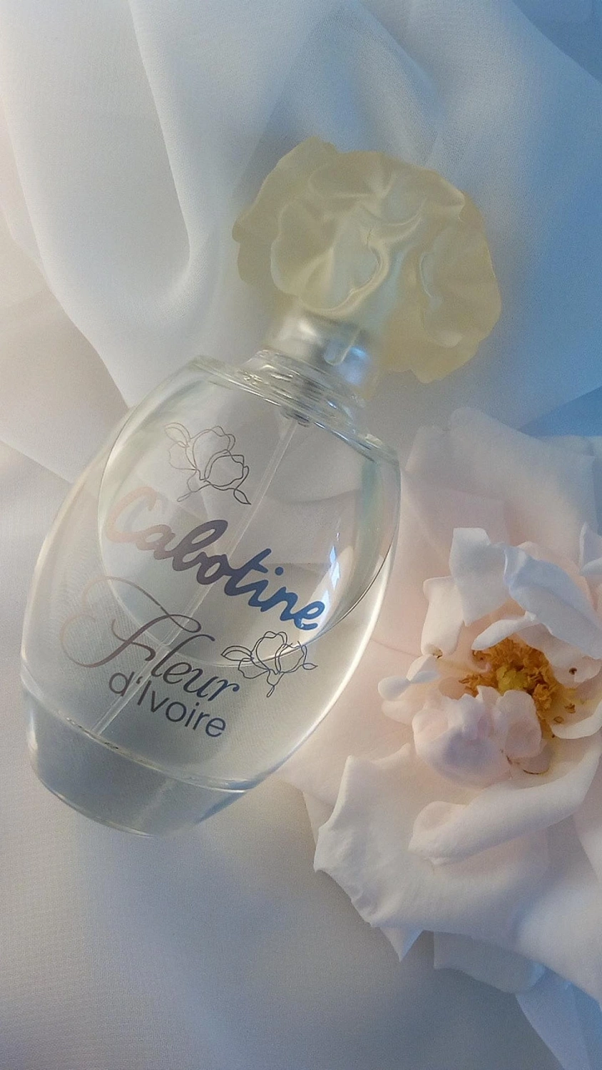 Gres Cabotine Fleur d’Ivoire Gres Cabotine Fleur d’Ivoire