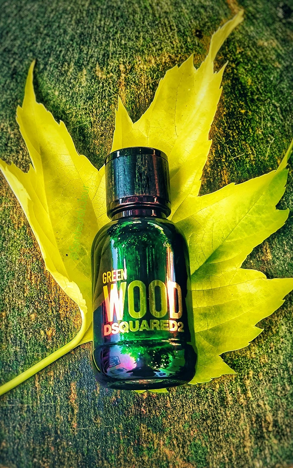 Dsquared2 Green Wood