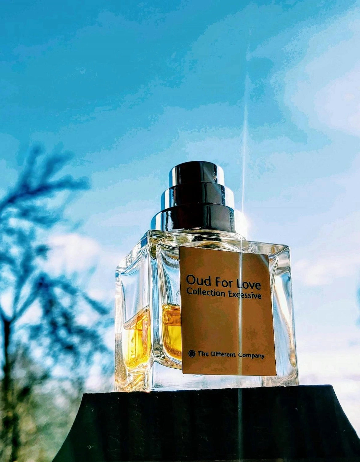 The Different Company Oud for Love