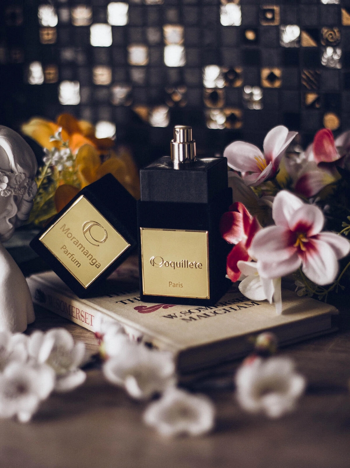 Coquillete Moramanga