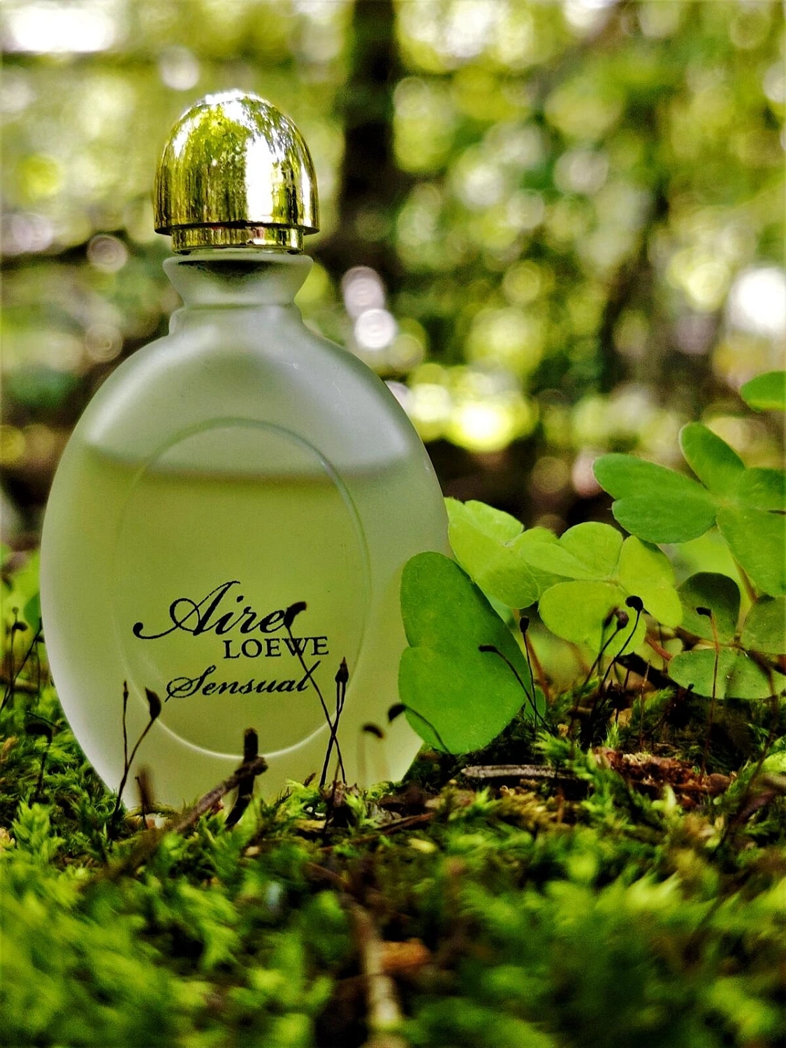 Loewe Aire Sensual Loewe Aire Sensual