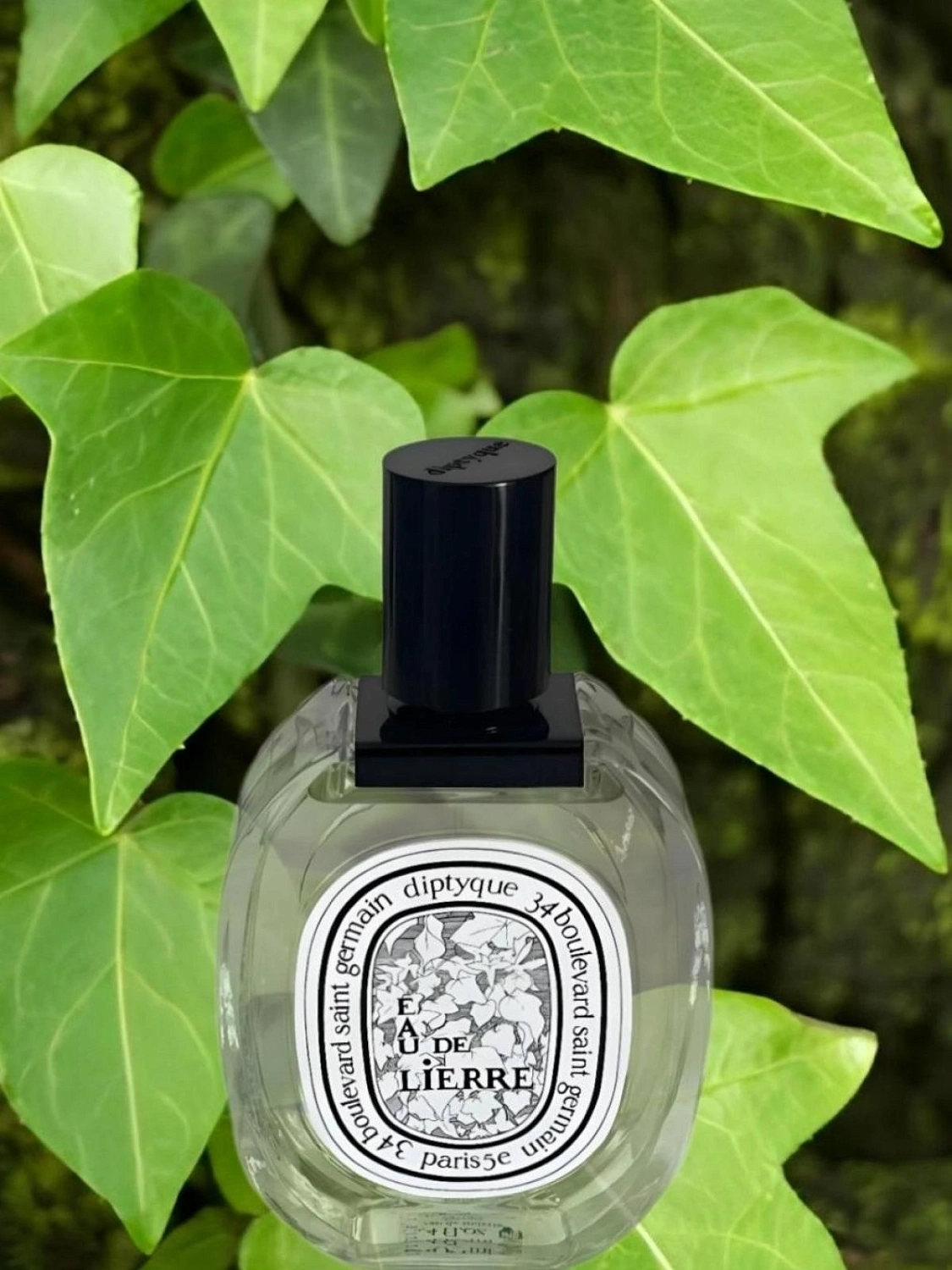 Diptyque L’Eau de Lierre