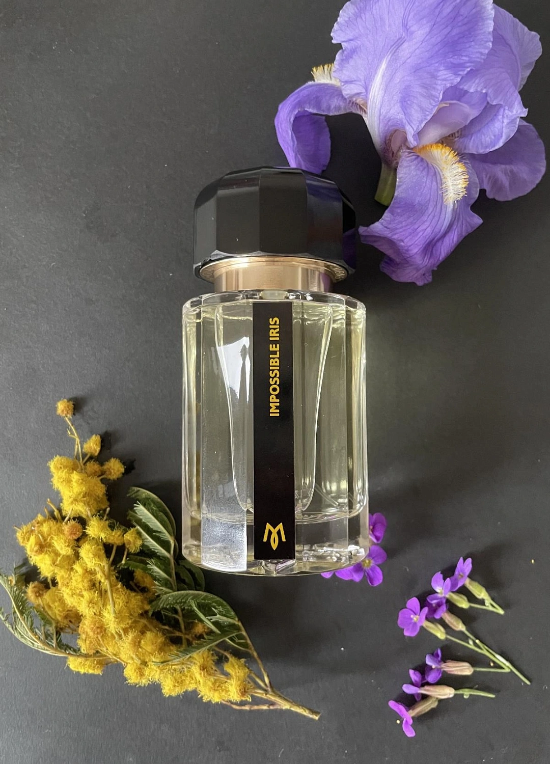 Ramon Monegal Impossible Iris