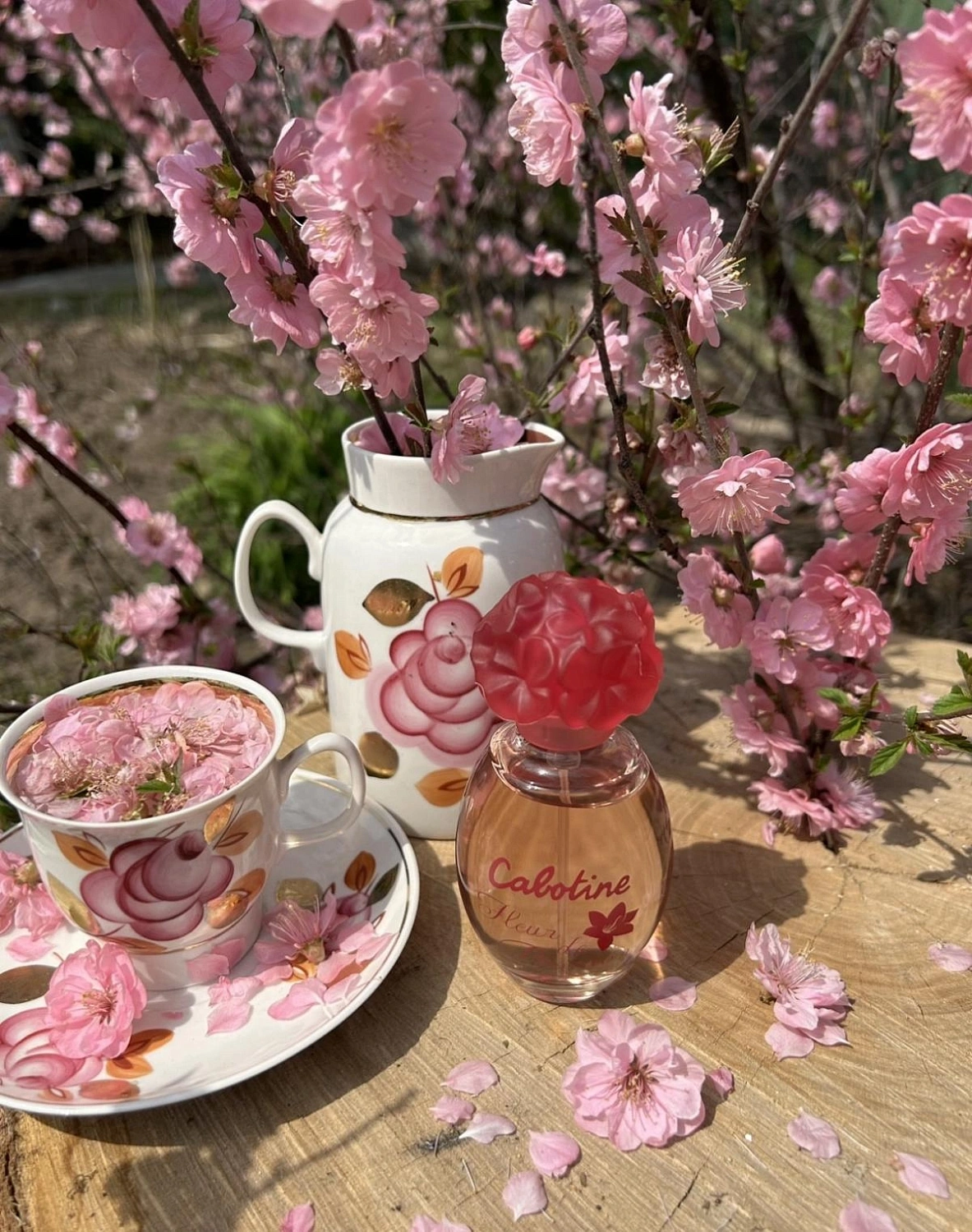 Gres Cabotine Rose Gres Cabotine Rose