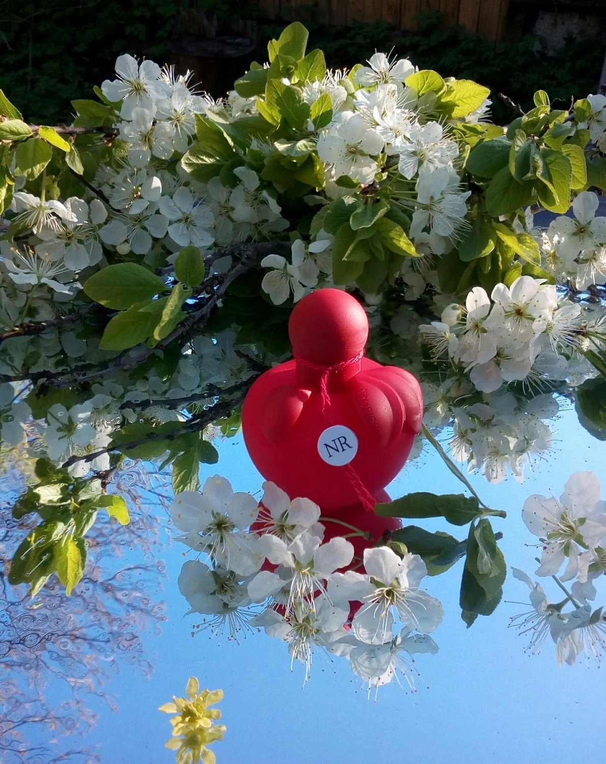 NINA RICCI Nina Extra Rouge