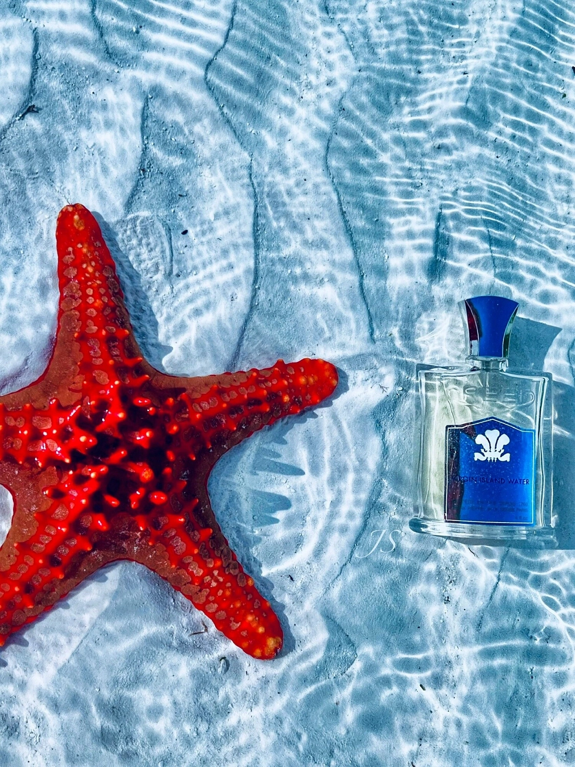 Creed Virgin Island Water