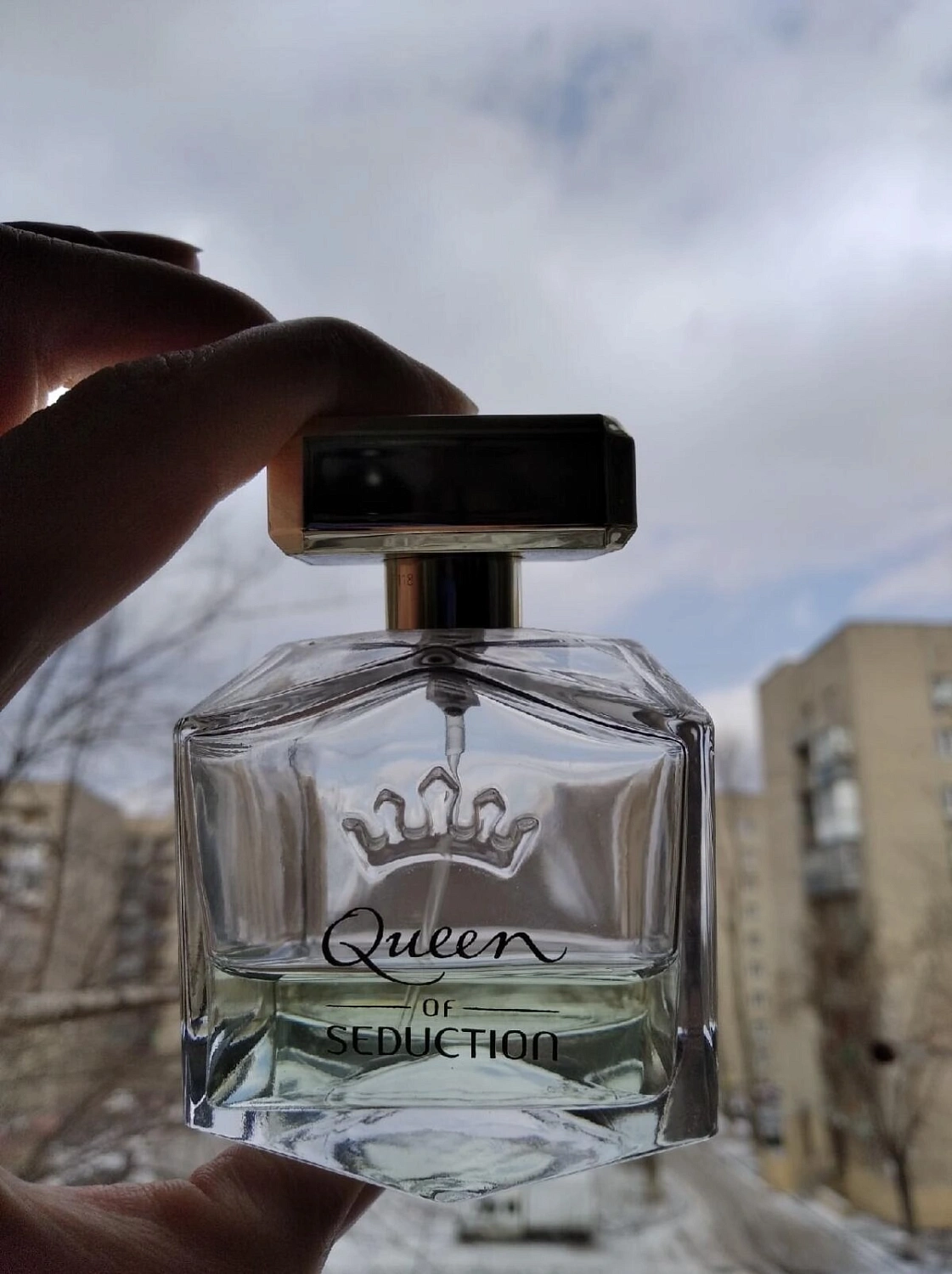 Antonio Banderas Queen of Seduction